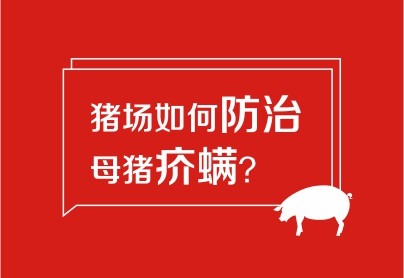豬場(chǎng)如何防治母豬疥螨？