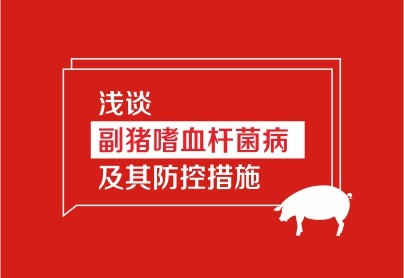 淺談副豬嗜血桿菌病及其防控措施